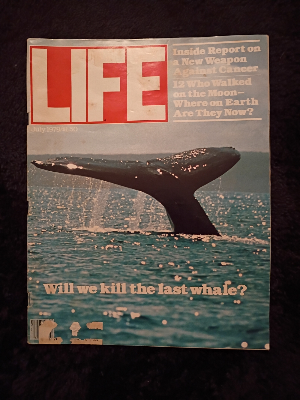 Magazine July 1979 - Whale Cover (Blue)